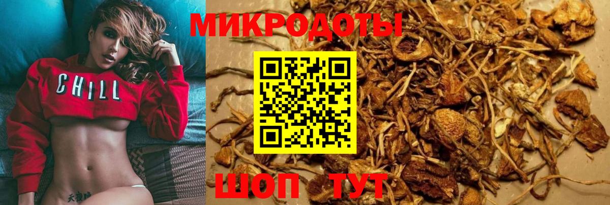 Тольятти  Псилоцибиновые грибы Cubensis  Вход с VPN  Галлюциногенные грибы ЛСД 